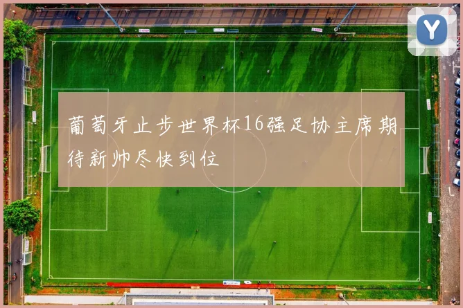 葡萄牙止步世界杯16强足协主席期待新帅尽快到位